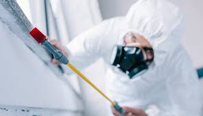 Emergency Pest Control Services in Manning, SC